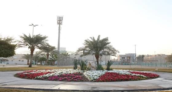 بالصور.. زراعة أكثر من 450 ألف زهرة بمدينة الخبر