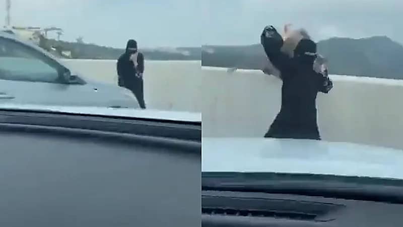 قرد يهاجم فتاة أثناء تصويرها للسحاب في مشهد محرج أمام الشباب .. فيديو