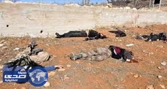 مقتل 20 داعشيًا في ضربة جوية عراقية قرب الحدود مع سوريا