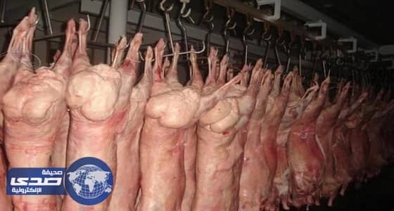 أسعار موحدة لذبح الأغنام بتبوك