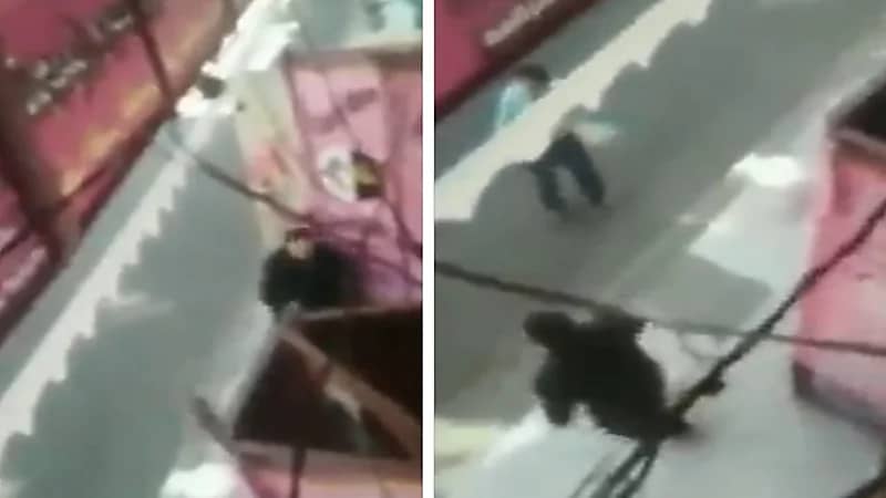 شاهد.. مشاجرة عنيفة بالأسلحة البيضاء بين ملاك كوافيرات