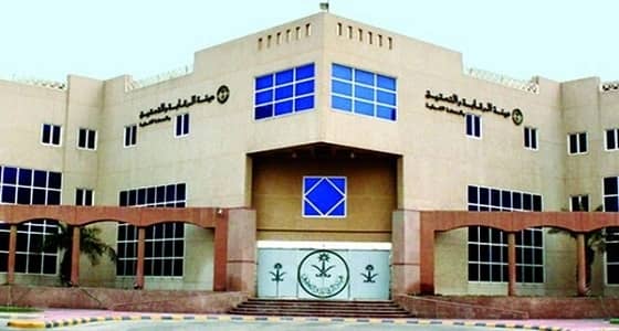 جولات لهيئة الرقابة تكشف عدم انتظام 163 ألف موظف حكومي