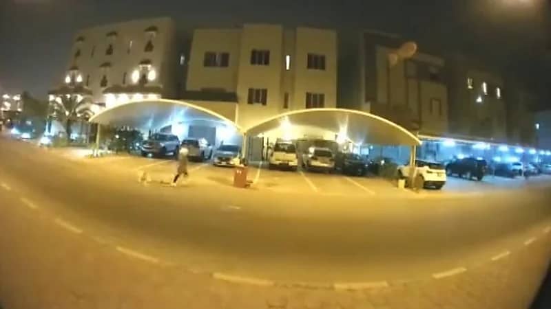 شاهد.. كلاب ضالة تلاحق فتاة أثناء سيرها وسط الشارع