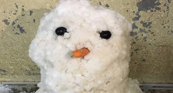 بالفيديو والصور.. البرد يتساقط على الرياض ومواطنون يوثقون برجل الثلج