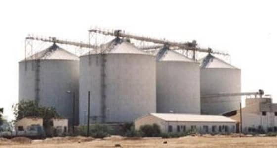 الكشف عن آخر مستجدات مشروع خصخصة قطاع مطاحن الدقيق