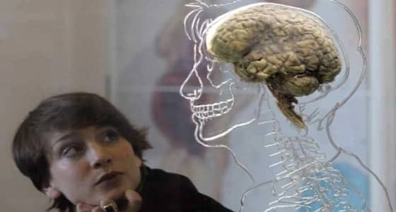 اكتشفي الفرق بين أدمغة الرجال والنساء