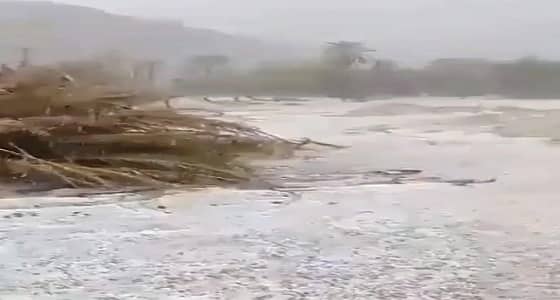 بالفيديو.. هطول البرد بكثافة غرب حائل