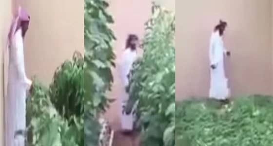 بالفيديو.. فناء منزل مواطن يتحول إلى مزرعة للخضروات والفواكه