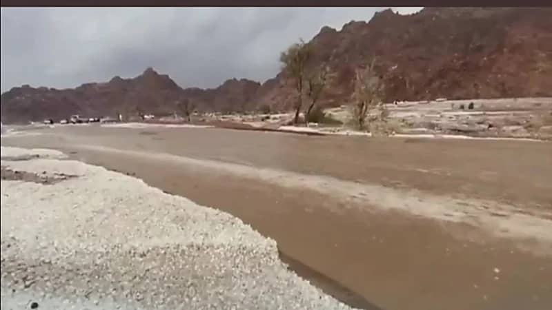 فيديو.. أمطار غزيرة وبردية وسيول هادرة في حائل