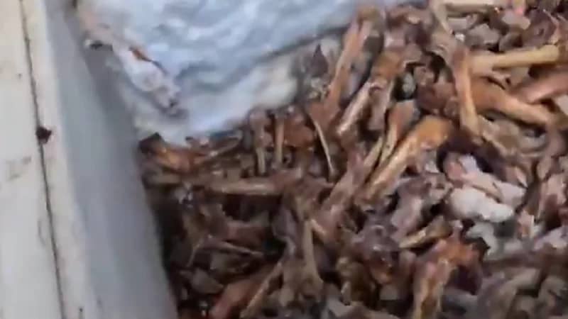 ضبط 3 منازل عشوائية لإعداد وتخزين المقادم مجهولة المصدر