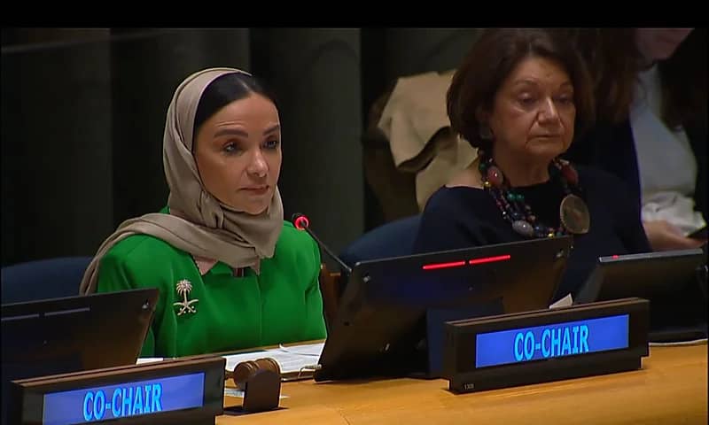 المملكة وفرنسا تقودان التحضيرات لمؤتمر دولي لحل القضية الفلسطينية