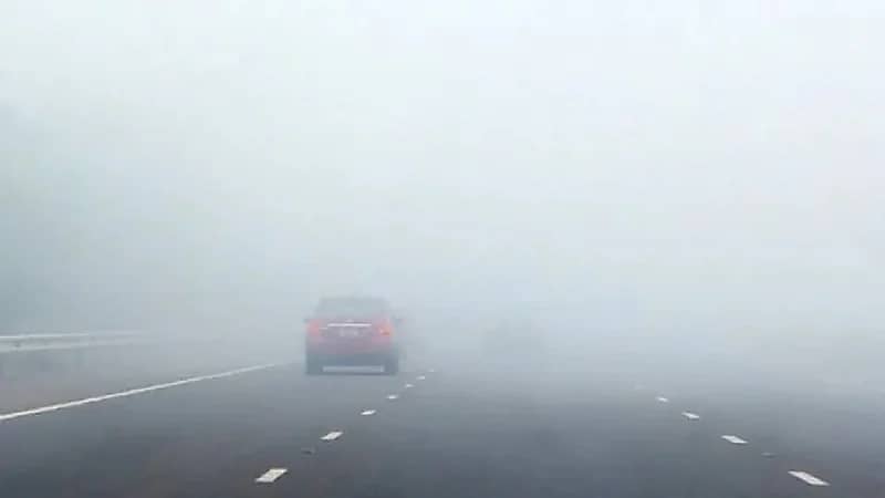 "الأرصاد" تحذر من ضباب على ينبع والرايس وتدَّن في مدى الرؤية