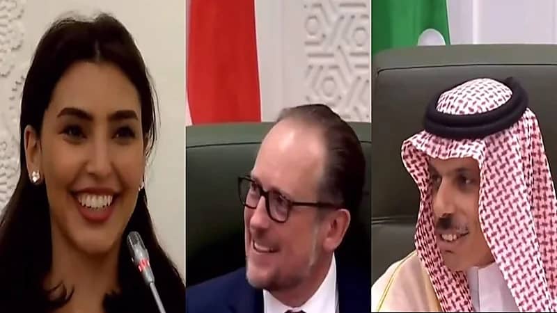 فيديو.. مراسلة العربية تفاجيء وزير خارجية النمسا بتحدثها الألمانية