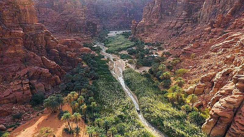 ضبط مواطن و3 مقيمين مخالفين لنظام البيئة