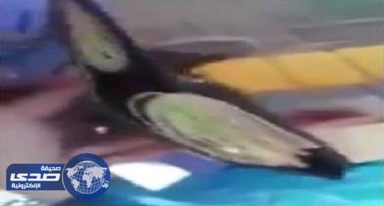 بالفيديو.. عامل نظافة يجمع مبلغا كبيرا من التسول في «نهار رمضان»