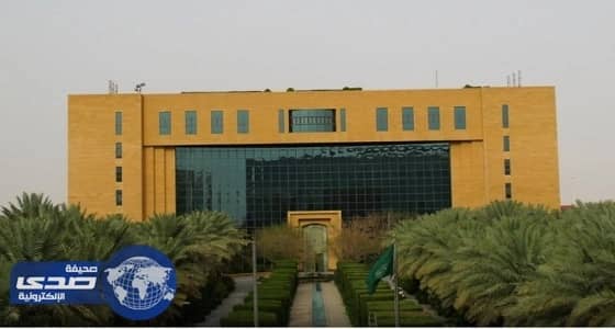 20 ألف ريال مكافآة أمناء المجالس البلدية