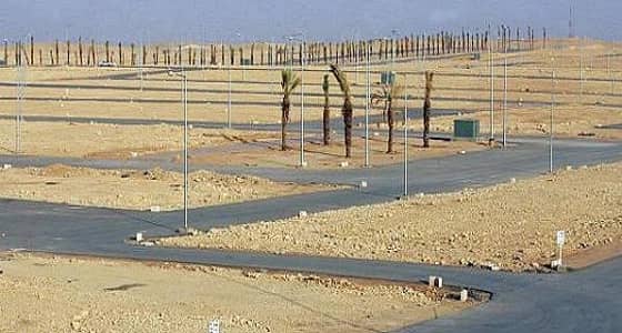 غرفة مكة: تراجع أسعار الأراضي بمخطط ولي العهد إلى 50%