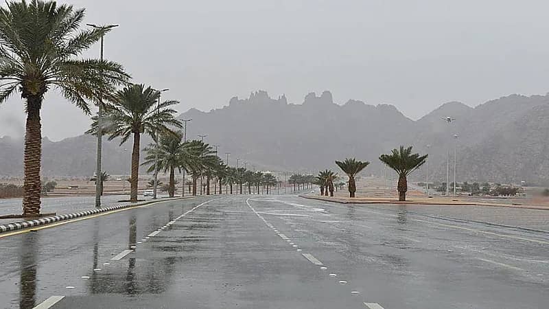 "الحصيني" يتوقع استمرار حالة حائل الممطرة