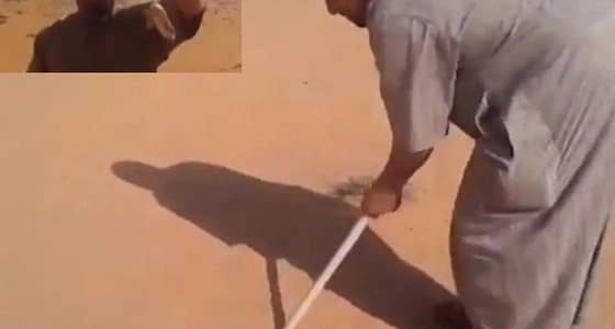 معنى لا تتوقعه لكلمة " لغز " عند العرب قديما