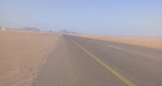 ضبط سيارة مهرِّب بها 20 إثيوبيًّا بـ " حلية تثليث "