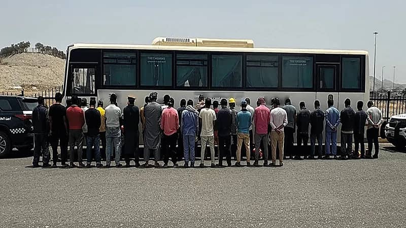 ضبط مقيمًا لنقله في حافلة 35 مقيمًا لا يحملون تصريحًا بالحج.. فيديو