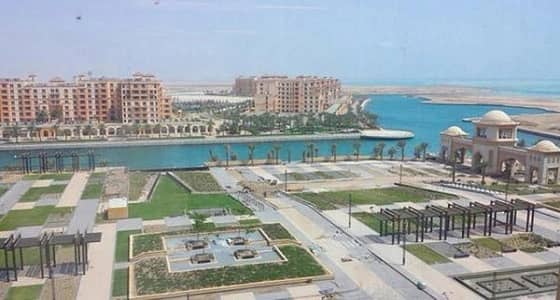 وافد عربي يفصل 500 مواطن تعسفيا في جازان