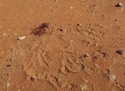 بالفيديو.. حكم طلب الزوجة الطلاق من زوجها بسبب زواجه بأخرى