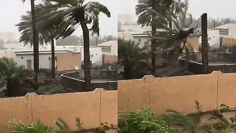 شاهد.. إعصار شاهين يتسبب في سقوط نخيل "بركاء" العمانية