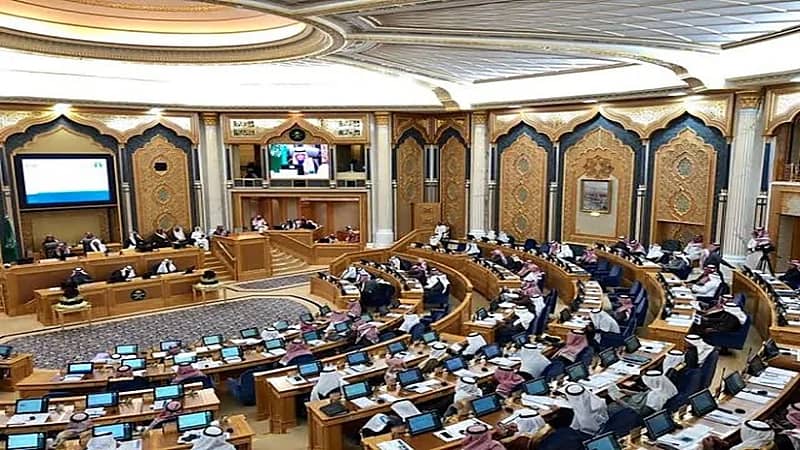 الموافقة على إلغاء اللائحة التنظيمية لمزاولة مهنة التعقيب لدى الجهات الحكومية