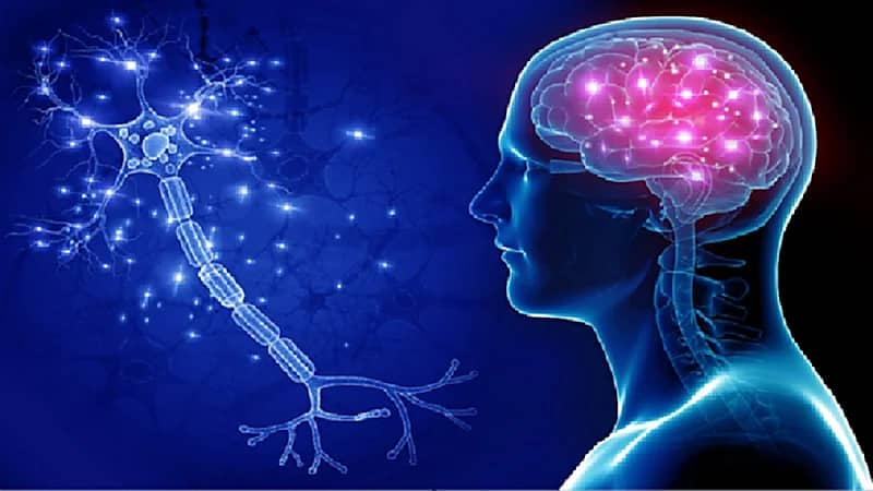 باحثون : الزهايمر يتأثر بالوسط المحيط