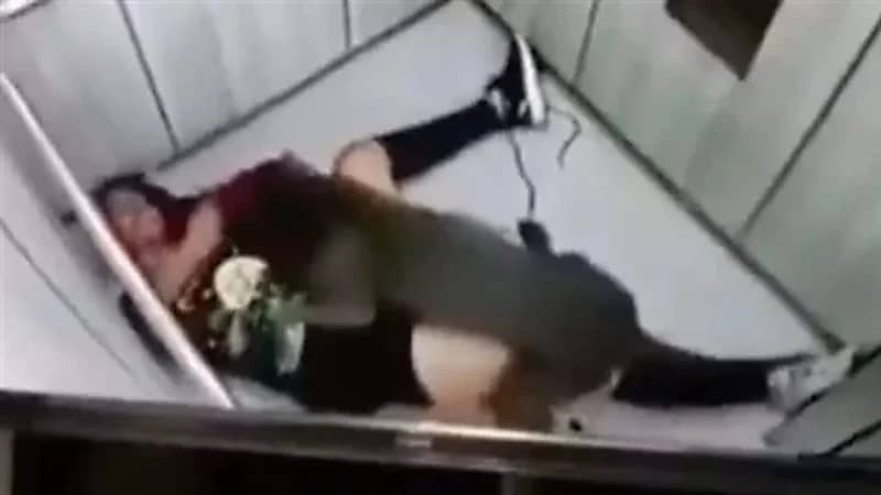 كلب مسعور يهاجم صاحبته داخل الاسانسير