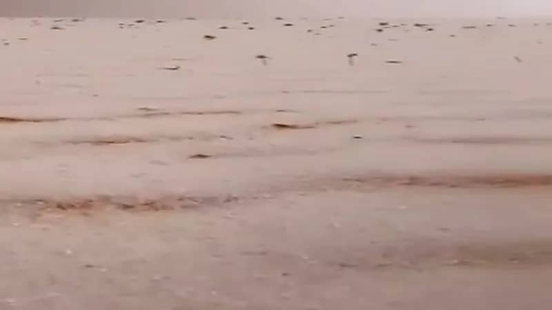 شاهد.. رمال الصحراء الحمراء تكتسي بالبياض بعد نزول حبات البرَد بسكاكا