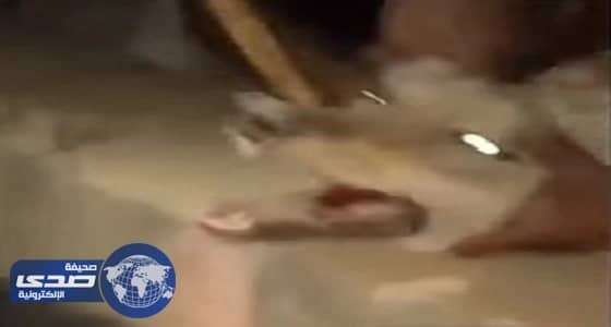 بالفيديو.. منسوبي شرطة العرضيات يكرمون زملاءهم المتقاعدين