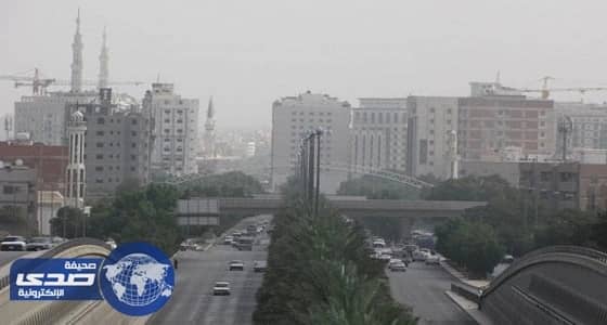 بالفيديو.. ضبط 2500 سلعة مغشوشة من أدوات التجميل بمتجر إلكتروني