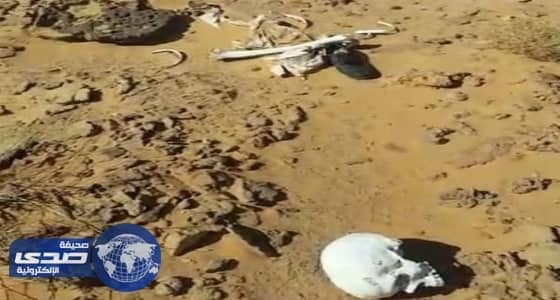 بالفيديو.. كشف تفاصيل حادث على الطريق الدائري الشمالي بالرياض