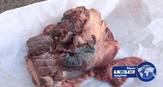 بالصور.. إتلاف 45 كيلو لحوم ودواجن غير صالحة للأستهلاك بالحجرة
