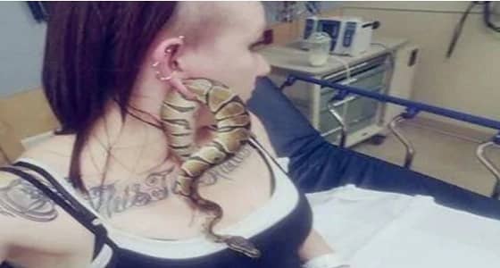 ثعبان غبي يحاول المرور من فتحة أذن فتاة أمريكية