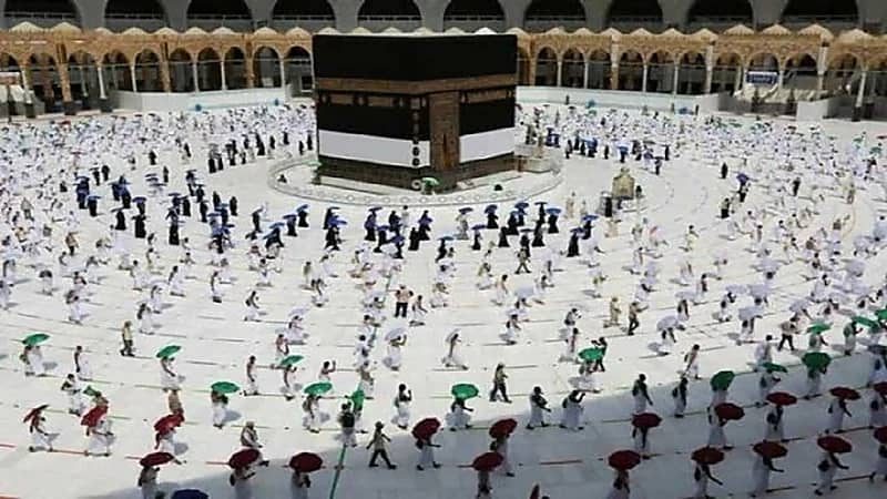 الصحة العالمية تشيد بالخطط التي اتخذتها المملكة لضمان سلامة الحجاج "فيديو"