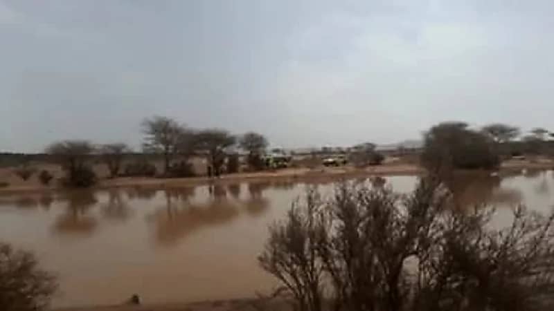 حادث مفجع.. غرق 4 مواطنين في السيل أثناء إنقاذ زميلهم