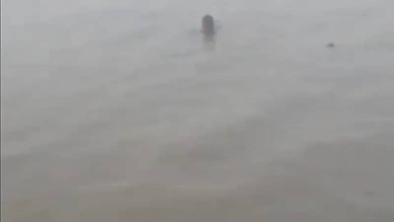 شاهد.. غرق مركب يحمل أكثر من 50 راكباً في نهر جانجا بالهند