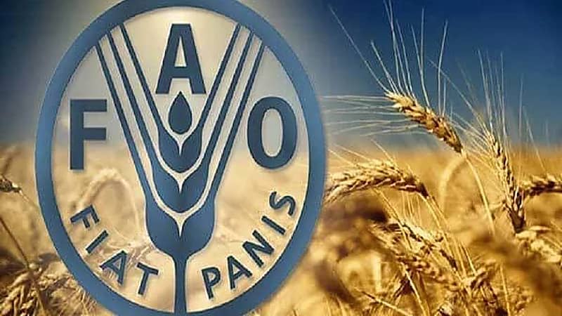 أسعار الغذاء العالمية تنخفض للشهر السادس على التوالي