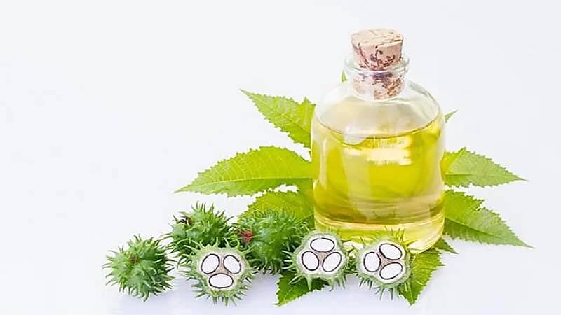 استشاري يحذر زيت الخروع: "لا يُنصح باستخدامه لعلاج الإمساك خلال الحمل"