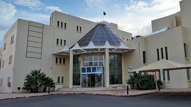 تعليق الدراسة في مدارس وفرع جامعة طيبة بالعلا