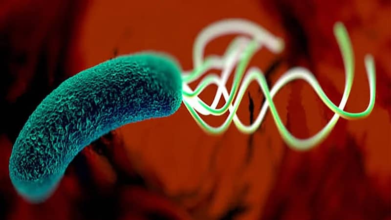 هل لابد من منظار المعدة لتشخيص الجرثومة؟.. استشاري يوضح 