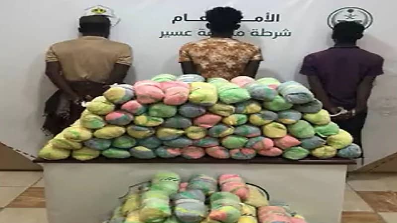 بالفيديو .. ضبط مواطنين ومخالفين ارتكبوا جرائم سرقة وتوزيع مواد مخدرة