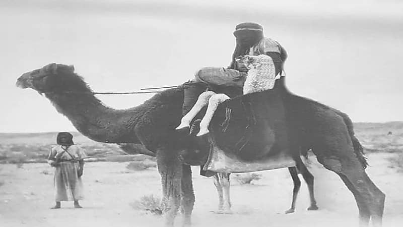 عرض صور قديمة للمملكة في جازان احتفالا بيوم التأسيس