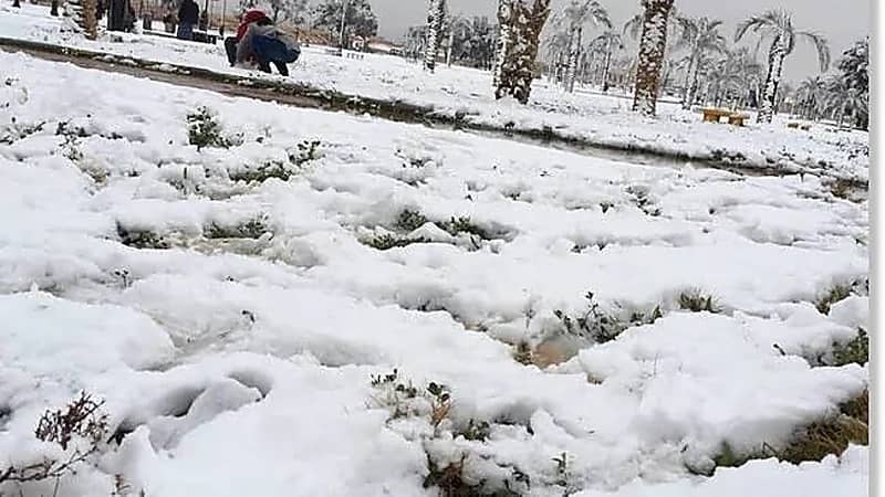 شاهد.. جبال اللوز تكتسي بالبياض بعد تساقط الثلوج