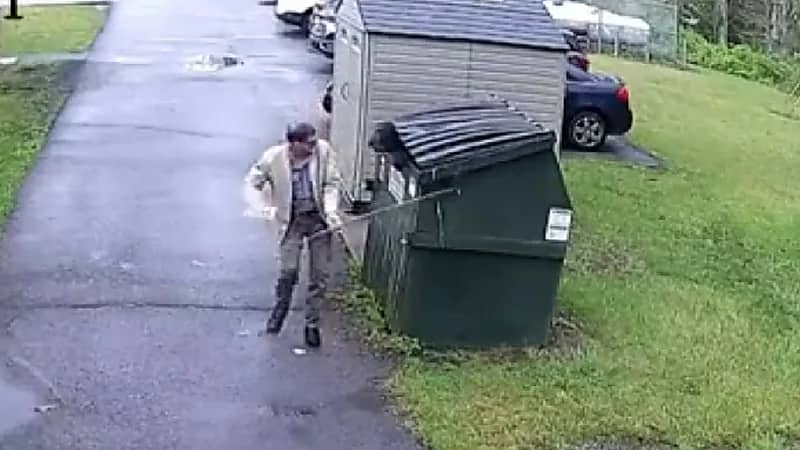 شاهد .. دب ضخم مختبئ في حاوية قمامة يقفز في وجه مدير مدرسة