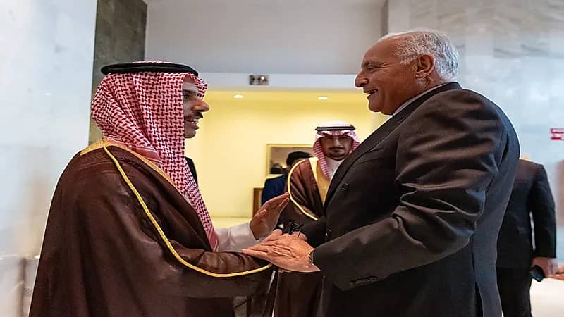 وزير الخارجية يصل إلى الجزائر في زيارة رسمية ..صور