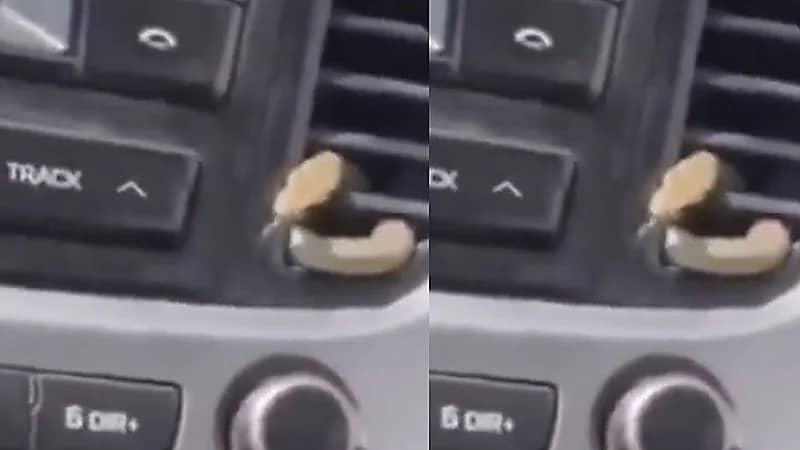 رجل يتفاجأ بخروج ثعبان من سيارته بسبب ارتفاع درجات الحرارة .. فيديو